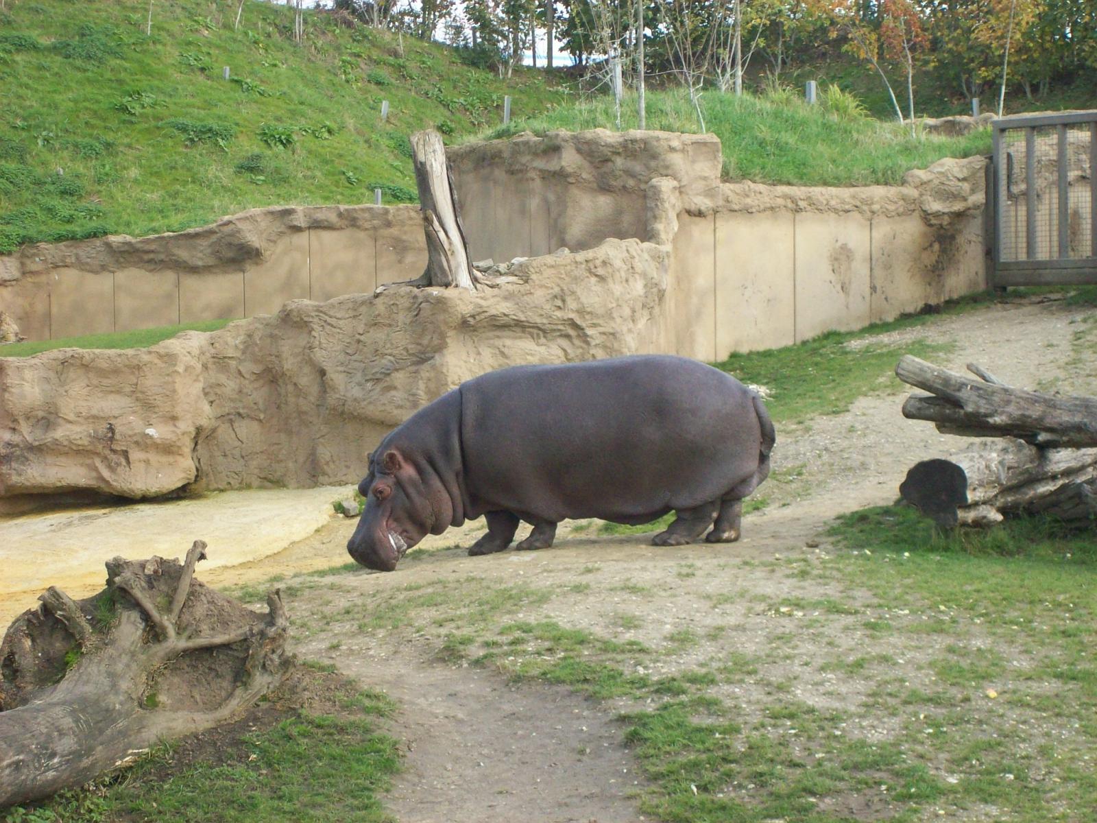 Zoom 18.10.2008-184.jpg